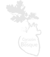 CORAZÓN DEL BOSQUE